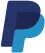 PayPal Payment Integration Icon