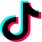 TikTok Ads Data Integration Icon